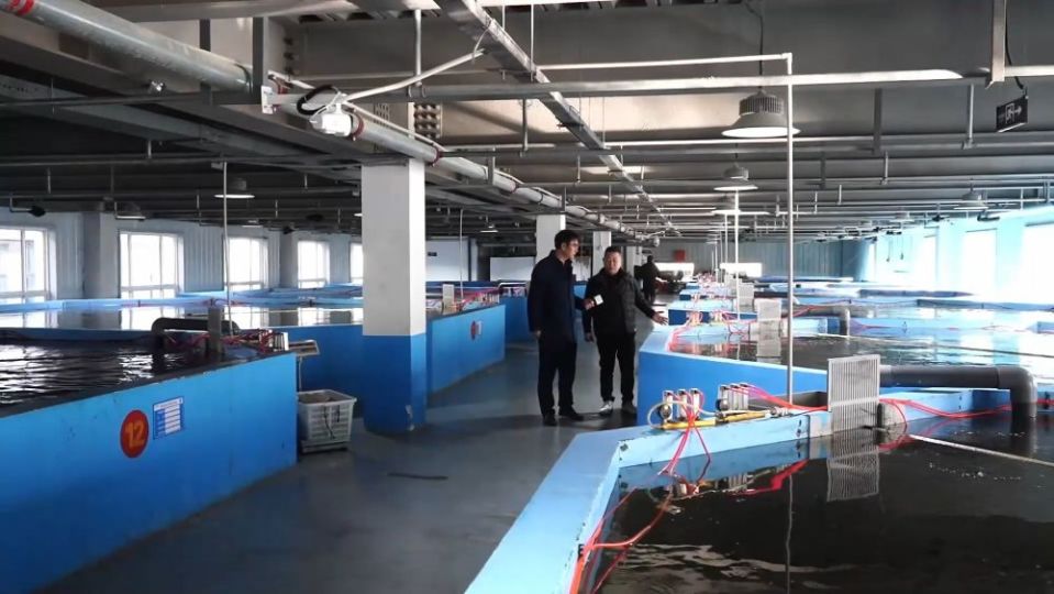 冬日暖陽(yáng)里，聽(tīng)一曲鄉(xiāng)村振興的“魚(yú)米”交響