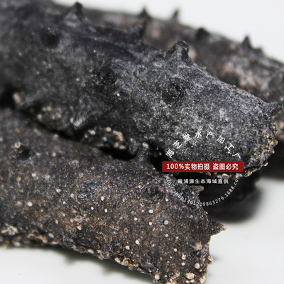 廠家直供大連純淡干海參 從冷凍粗加工到品質(zhì)干貨的一站式批發(fā)
